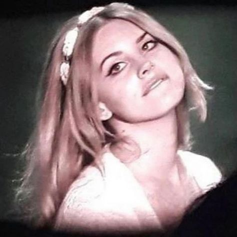 diva on Instagram: “remembering 2016 when lana just randomly went blonde for less than a month” Lana Hot, Lana Rey, Queen Mother, Lana Del Ray, Jim Morrison, Living Legends, I Love Girls, Queen Elizabeth, Lana Del Rey