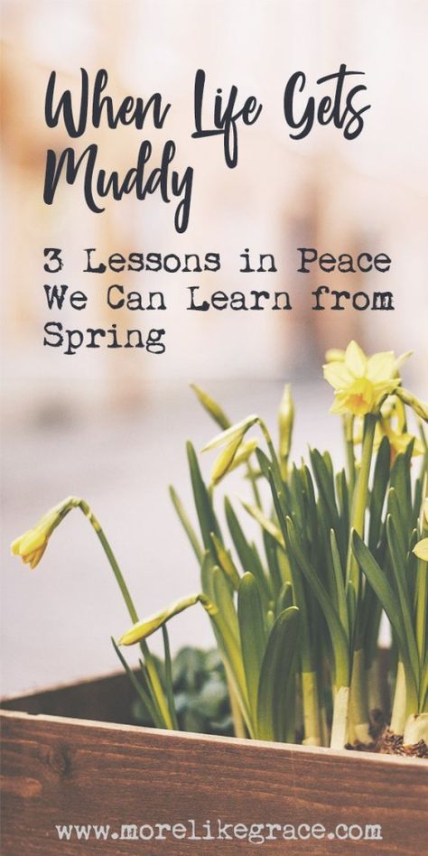 Much of life feels messy and unpredictable: This inspirational post gives hope for those muddy times, pointing to life lessons we can learn from spring. | Spring | Christian Woman | Grace | Encouragement | Inspiration | Christian Life | Jesus | Devotions | Women's Ministry | Everyday Truth | Life Transitions | Change | Hope | Springtime | Christianity | God's Faithfulness | Seasons | #christianwoman | #devotions | #inspiration | #givemejesus | #womensministry Womens Ministry Ideas, Devotional Ideas, Easter Devotions, Spring Poem, Christian Women's Ministry, Christian Woman Encouragement, Women Devotional, Inspirational Life Lessons, Change Is Hard