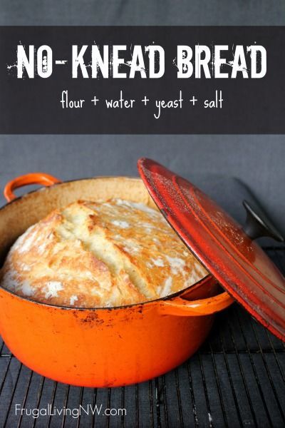 Knead Bread Recipe, Homemade Bread Easy, Knead Bread, Dutch Oven Cooking, Dutch Oven Recipes, Fall Recipe, Fall Cooking, No Knead Bread, Smitten Kitchen