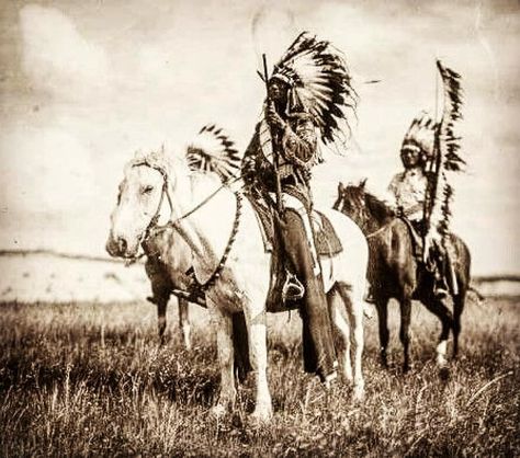 the faces of the wild west on Instagram: “#wildwest #nativeamerican #Americanhistory #indianwars #rangewar #1870s #1880s #chief #oldwest #plainsculture #firstpeople #nativepride…” Sioux Nation, American Proverbs, Hereford Cattle, Sioux Indian, American Indian History, Native American Men, American Photo, Wilde Westen, Native American Photos