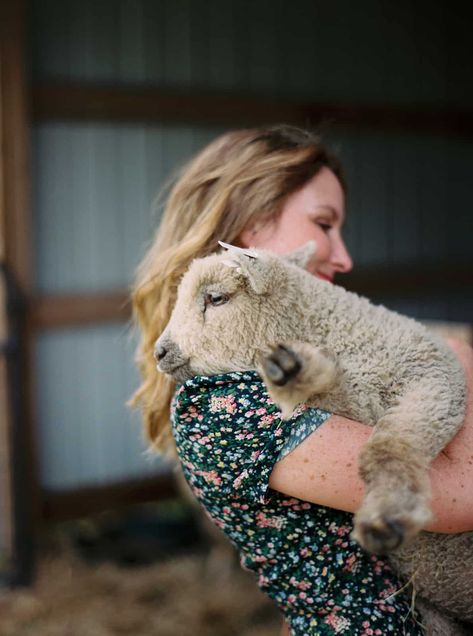 Sheep Keeping, Baby Doll Sheep, Sheep Shelter, Babydoll Sheep, Raising Rabbits For Meat, Prey Animals, Cow House, Meat Rabbits, Blackberry Farms