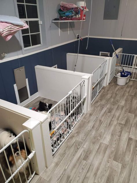 Dog Stalls Indoors, Dog Breeding Kennels Ideas Indoor, Shed To Dog Kennel, In Home Dog Boarding, Dog Areas In House, Dog Boarding Facility Ideas, Dog Kennel And Run, Dog Room Design, Dog Breeding Kennels