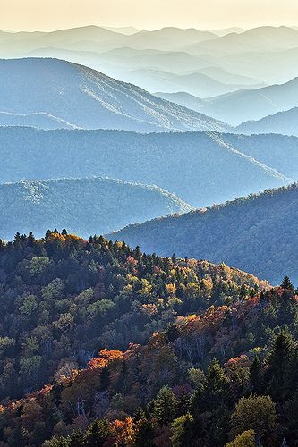 North Carolina Mountains, Scenic Photography, Appalachian Mountains, Mountain Life, Blue Ridge Parkway, Colorful Trees, To Infinity And Beyond, Blue Ridge Mountains, Stonehenge