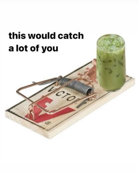 it would catch me 🍵💗 Matcha Cafe, Fairy Tail Love, Matcha Drink, Laughing Emoji, Magnum Opus, Work Memes, Inside Jokes, Silly Me, Just Girl Things