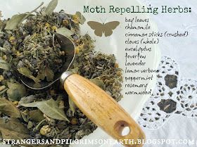 Strangers & Pilgrims on Earth: How to Make Moth-Repellent Sachets {DIY} ~ Simple to Sew Repellent Diy, Lavender Crafts, Moth Repellent, Homemade Cleaning Supplies, Diy Pest Control, Herbal Recipes, Herbal Healing, Bug Repellent, Scented Sachets