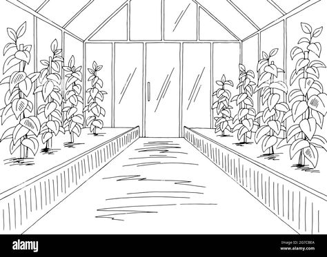 Download this stock vector: Greenhouse interior graphic black white sketch illustration vector - 2G7CBEA from Alamy's library of millions of high resolution stock photos, illustrations and vectors. Greenhouse Sketch Architecture, Green House Drawing Sketch, Green House Sketch, Green House Drawing, Greenhouse Sketch, Green House Illustration, Greenhouse Drawing, Greenhouse Wallpaper, Greenhouse Illustration