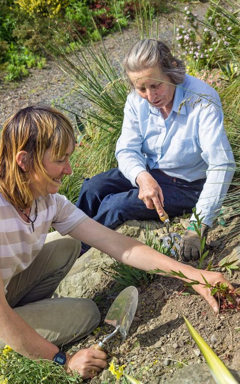 How to plant a steep, sunny bank Steep Hillside Landscaping, Steep Gardens, Hillside Landscaping, Backyard Landscaping Ideas, Ann Marie, Interesting Ideas, Cool Plants, Landscape Ideas, Weeding