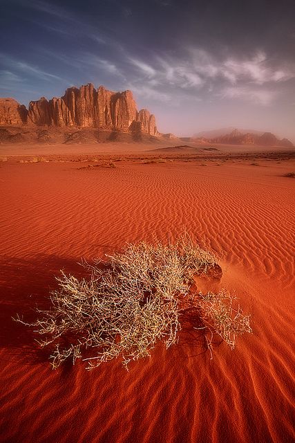 Sunrise over the desert of Wadi Rum, Jordan, by Jarrod Castaing وادي رم, Wadi Rum Jordan, Jordan Travel, Fine Art Landscape Photography, Wadi Rum, Fine Art Landscape, Amman, Desert Landscaping, Syria