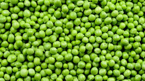 Why you should think twice before eating peas Benefits Of Peas, Banana Flour, Flour Alternatives, Sweet 16 Decorations, Types Of Flour, Healthy Cholesterol Levels, Fiber Rich Foods, High Fiber Foods, Workout Snacks