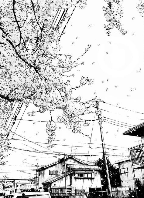 Manga Background, Sakura Tree, Background Drawing, Architectural Sketch, Tree Drawing, Backdrops Backgrounds, Urban Sketching, Architecture Sketch, Urban Landscape