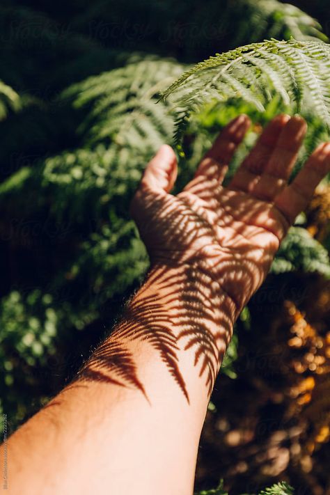 Photoshoot Forest, Leaf Photography, Hand Photography, Nature Photoshoot, Shadow Photography, Forest Photos, Forest Bathing, Family Dynamics, Natural Branding