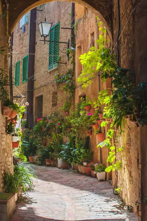 Italy Vibes, Siena Italy, Italy Tuscany, Italy Summer, Montepulciano, Italy Aesthetic, Italian Summer, Tuscany Italy, Umbria