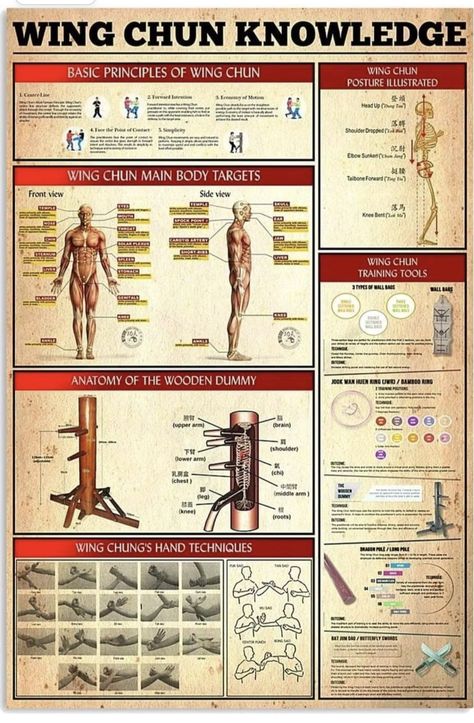 Wing Anatomy, Wing Chun Training, Wing Chun Martial Arts, Mixed Martial Arts Training, Wooden Dummy, Prostate Health Men, Self Defence Training, Bedroom Wall Decoration, Educational Wall Art