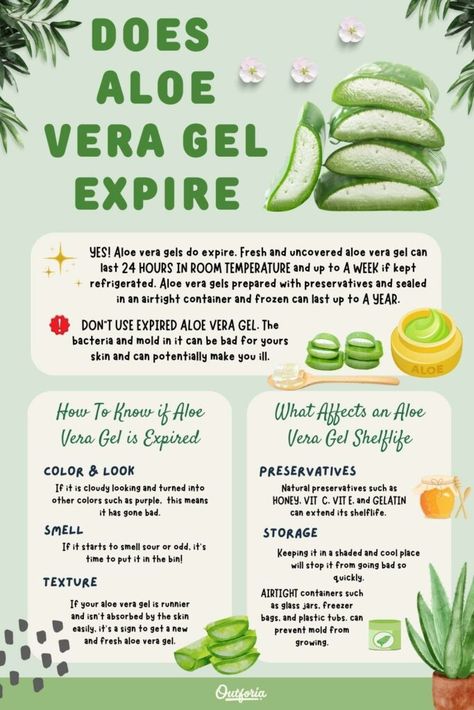 How To Harvest Aloe Vera Gel, Aloe Salve, Fresh Aloe Vera Uses, Diy Aloe Vera Gel, Aloe Vera For Sunburn, Aloe Vera Uses, Aloe Vera Moisturizer, Aloe Vera Powder, Fresh Aloe Vera Gel