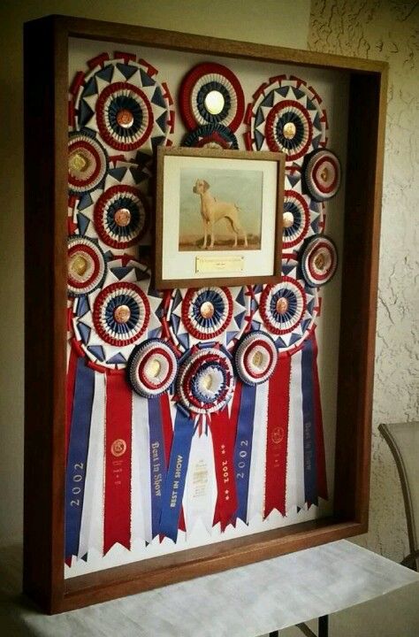 Dog Show Ribbon Display, Dog Show Ribbon Display Ideas, Dog Ribbon Display Ideas, Rosette Display Ideas, Show Ribbon Display Ideas, Ribbon Display Ideas, Horse Ribbons Display Ideas, Rosette Display, Horse Ribbon Display