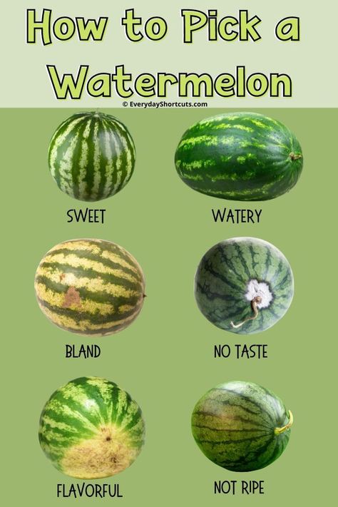 Looking for the perfect watermelon for your backyard BBQ this summer? Here’s how to pick the perfect watermelon for your taste and needs. Watermelon Ripeness, Picking Watermelon, Pick A Watermelon, Watermelon Facts, Watermelon Hacks, Watermelon Snack, Perfect Watermelon, Watermelon Nutrition Facts, Watermelon Benefits