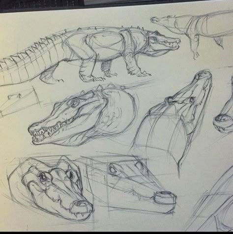 Crocodile Sketch, Jurassic World Poster, Bed Drawing, Pencil Drawing Ideas, Dinosaur Drawing, Animal Drawings Sketches, Dinosaur Illustration, Animal Study, Creature Drawings