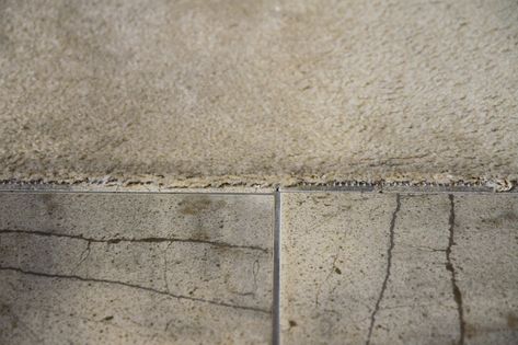 How do I make where my carpet meets tile look nice? - Home Improvement Stack Exchange Threshold Transition, Carpet To Tile Transition, Tile Transition, Transition Strips, Floor Moulding, Rubber Carpet, Carpet Remnants, Carpet Tape, Oak Trim