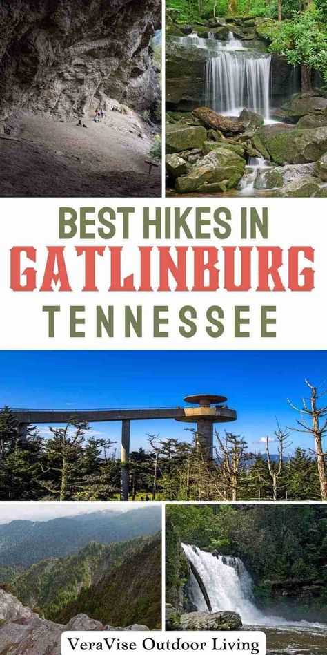 Whether you’re looking for an easy trail to take the kids on or a more challenging hike for yourself, there’s sure to to find the best hikes in Gatlinburg that suits your needs. Gatlinburg Hiking Trails, Hikes In Gatlinburg Tn, Gatlinburg Hikes, Gatlinburg Vacation, Laurel Falls, Family Hiking, Rainbow Falls, National Park Photos, Waterfall Hikes