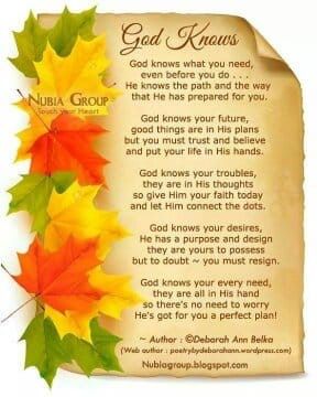 Harvest Poems, Bible Poems, God Inspirational Quotes, Group Quotes, Good Morning Poems, Thanksgiving Poems, New Years Prayer, Heaven Poems, Christian Thanksgiving