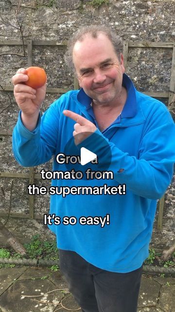 Simon Akeroyd on Instagram: "Tomatoes are the easiest of all supermarket produce to grow. 

Sow now if you are intending to eventually plant them in a greenhouse or conservatory once the seedlings are big enough.

If you intend to grow them directly outside once seedlings have grown then wait a month or two before sowing #gardening #growyourown #vegetablegardeningforbeginners" Veggie Beds, A View To A Kill, Gardening Tricks, February 3, Vegetable Gardening, Garden Stuff, Planting Vegetables, Growing Food, Backyards