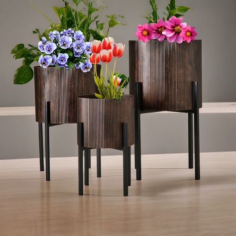 Headline: Elevate Your Home Decor with the A.F. Decor Metal Planter Set! Body Text: Bring warmth and sophistication to your space with our stunning set of 3 metal planters in a beautiful matte black with copper shading. Durable galvanized metal construction for indoor & outdoor use. Versatile design complements any decor style. Three sizes for creating dimensional arrangements. Perfect for a variety of plants! #homedecor #planter #copperaccents #moderndesign #industrialchic #farmhousedecor... Copper Accents, Metal Planters, Galvanized Metal, Elevate Your Home, Industrial Chic, Metal Construction, Matte Black, Decor Styles, Farmhouse Decor