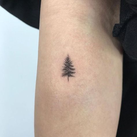 Pine Tattoo, Brain Tattoo, Minimalist Tattoo Ideas, Cherub Tattoo, Pine Tree Tattoo, Saved Tattoo, Flame Tattoos, Nature Tattoo, Famous Tattoos