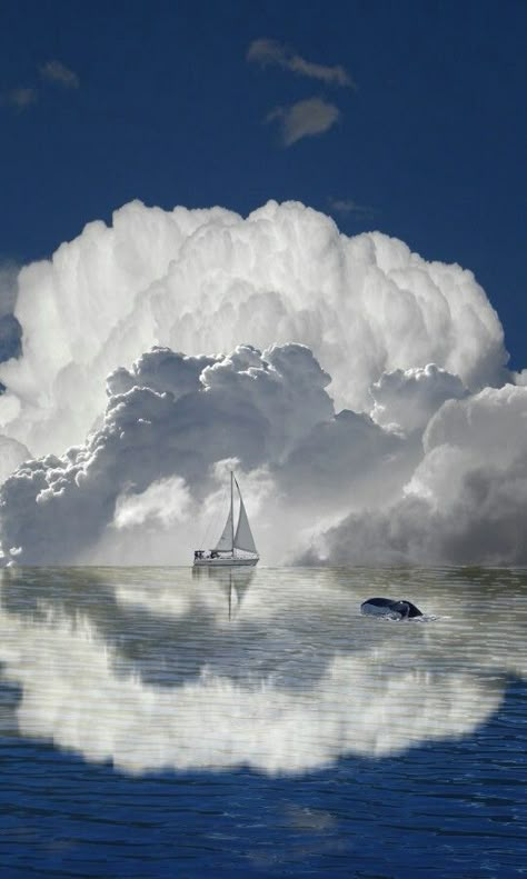 cloud photography 2                                                                                                                                                                                 More Cloud Formations, Charcoal Drawings, Foto Tips, Cloudy Sky, Body Of Water, Tall Ships, Jolie Photo, Amazing Pictures, In The Clouds