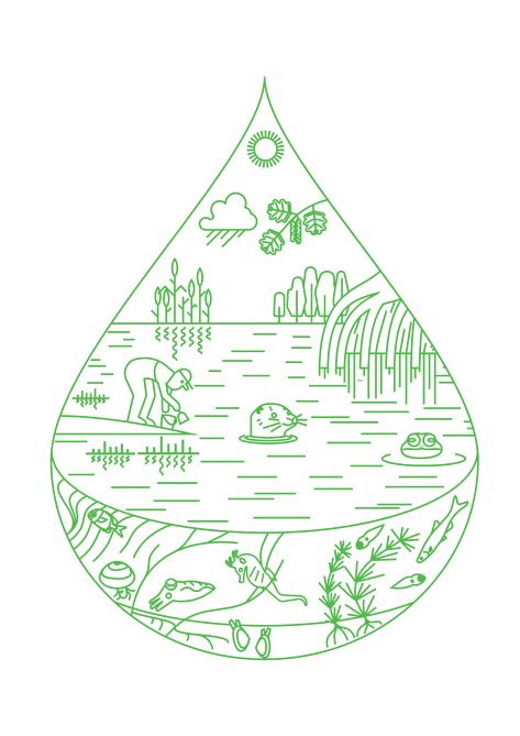 REASE Illustration on Behance Biosphere Drawing, Biodiversity Drawing, Ecosystem Drawing, Ecosystem Services, Algarve Portugal, Scientific Illustration, Editorial Illustration, Algarve, Ecosystem