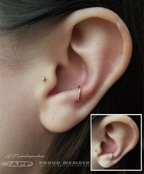 Piercing Snug, Piercing Bouche, Ear Peircings, Piercing Conch, Cool Ear Piercings, Piercing Cartilage, Cute Ear Piercings, Cute Piercings, Piercings Unique