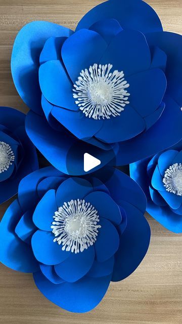 Giant paper flowers diy