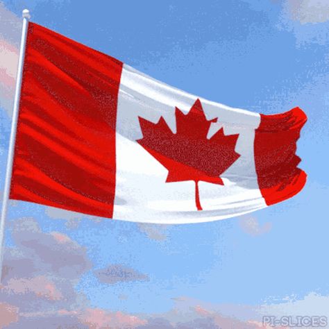 Canada Day Flag, Canada Gif, Flag Gif, Flag Animation, Trevor Noah, Happy Canada Day, Nose Drawing, Artist Collective, O Canada