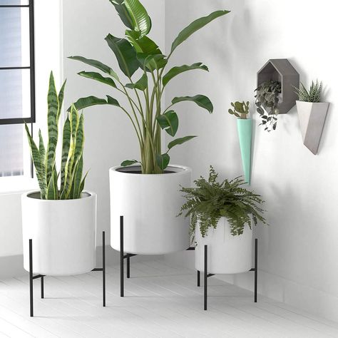 Planter With Stand, White Ceramic Planter, Large Plant Pots, Beige Stone, Iron Stand, Iron Shelf, Concrete Color, Modern Planters, Planter Stand