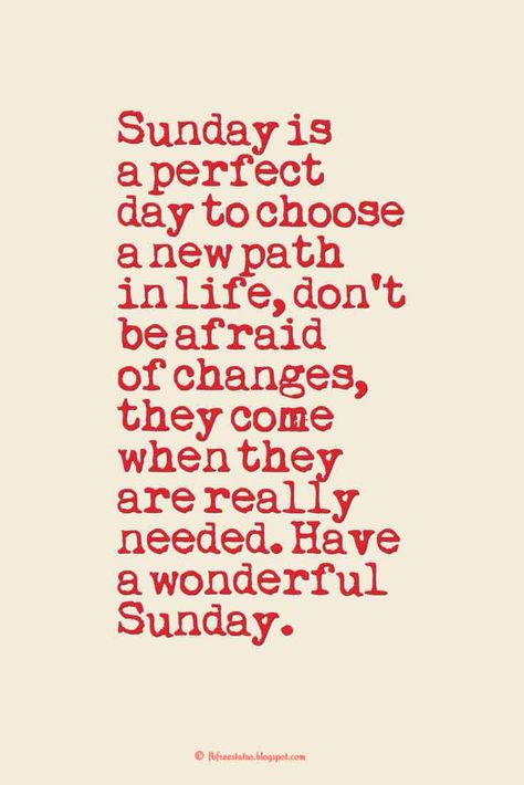 Sunday is a perfect day to choose a new path in life, don’t be afraid of changes, they come when they are really needed. Have a wonderful Sunday., Happy Sunday images Lazy Morning Quotes, Sunny Day Quotes, Happy Sunday Images, Sunday Morning Quotes, Sunday Quotes Funny, Sunday Images, Weekday Quotes, Weekend Quotes, Morning Quotes Images