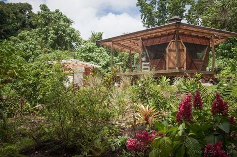 This DIY off-grid home in Hawaii includes a permaculture farm Offgrid Home, Home In Hawaii, Permaculture Farm, Reclaimed Building Materials, Off Grid Homestead, Farm Images, Minimalist Design Style, Composting Toilets, Permaculture Gardening