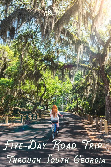 Find the unexpected on this road trip through South Georgia. Georgia Road Trip Places To Visit, Georgia Coast Road Trip, Georgia Road Trip, Southern Georgia, Georgia State Parks, Travel Train, Cumberland Island, Georgia Vacation, Southern Travel