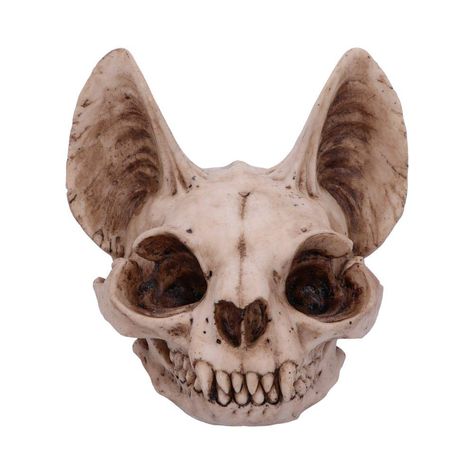 Nemesis Now Bastet's Secret Cat Skull Figurine Ornament, Natural Bone Colour, One Size: Amazon.co.uk: Kitchen & Home Lioness Goddess, Home Accessories Uk, Hastings Old Town, Goddess Bastet, Skull Statue, Animal Skull, Cat Skull, Skull Hand, Bone Color