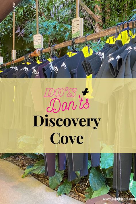 Living In Orlando Florida, Orlando Florida Outfits, Orlando Florida Things To Do, Orlando Trip Planning, What To Do In Orlando Besides Disney, Discovery Cove Orlando Tips, Discovery Cove Orlando Pictures, Seaworld Orlando Itinerary, Orlando Map