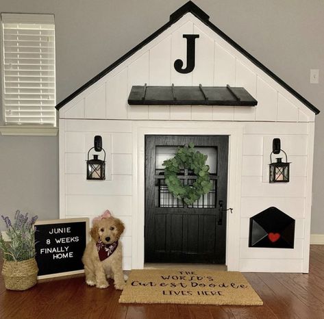 Dog Playhouse Indoor, Playhouse Turned Doghouse, Dog Playroom, Dogs Bedroom, Dog Under Stairs, Basement Playhouse, Dog House Inside, Under Stairs Dog House, Doggie Door