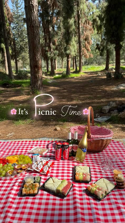 Aesthetic Picnic Photos, Picnic Instagram Story Ideas, Picnic Pictures Ideas, Picnic Ig Story, Picnic Story Instagram, Picnic Photo Ideas Instagram, Picnic Instagram Story, Small Picnic Ideas, Picnic Aesthetic Romantic