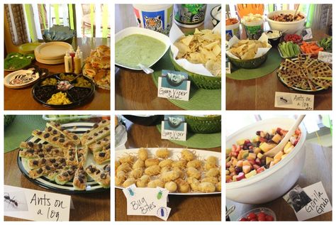 Wild Kratts Party Food Jungle Party Food, Party Cake Design, High School Biology Teacher, Jungle Food, Wild Kratts Birthday Party, Wild Kratts Party, School Biology, On Leave, Birthday Party Snacks