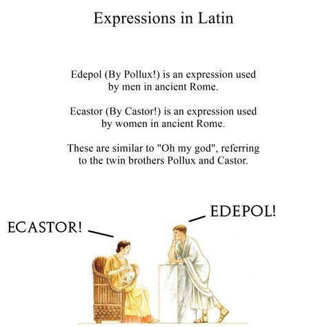 Edepol (By Pollux) was used by men. Ecastor (By Castor) was used my women. These are similar to “Oh my god”, but an ancient Rome version. Latin Terms Of Endearment, Castor And Pollux Mythology, Classical Civilisation, Intelligent Words, Language Learning Apps, Latin Language, History Jokes, Ancient Languages, Latin Phrases