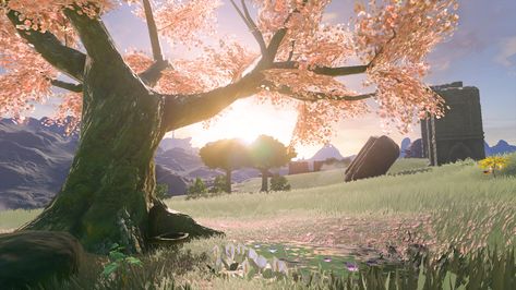 Hyrule Field, Game Photography, Pc Wallpapers, Zelda Botw, Blossom Tree, Cherry Blossom Tree, Art References, Legend Of Zelda, Cherry Blossom