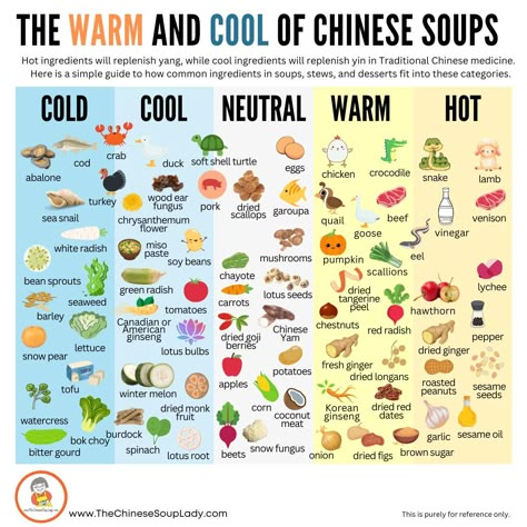 Your guide to COOLING and WARMING ingredients in Chinese Soups | The Chinese Soup Lady Food Recipes Chinese, Chinese Confinement, Cooling Foods, Chinese Medicine Diet, Winter Melon Soup, Chinese Soups, Healing Soup, Recipes Chinese, Pork And Cabbage