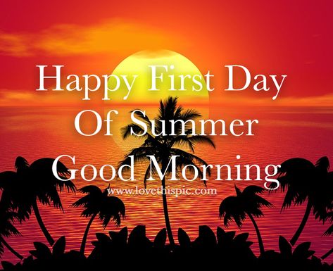 First Day Of Summer Quotes, Summer Good Morning, Good Morning Summer, Happy First Day Of Summer, Summer Images, Quotes Summer, Quotes Good Morning, Morning Quotes Funny, First Day Of Summer