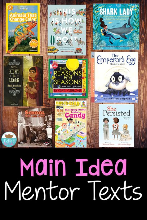 Main Idea Mentor Text, How To Teach Main Idea 3rd Grade, Third Grade Read Alouds, Main Idea Mentor Texts 3rd Grade, Books For Teaching Main Idea, Main Idea Third Grade, Nonfiction Main Idea, Main Idea Lessons, Main Idea Anchor Chart