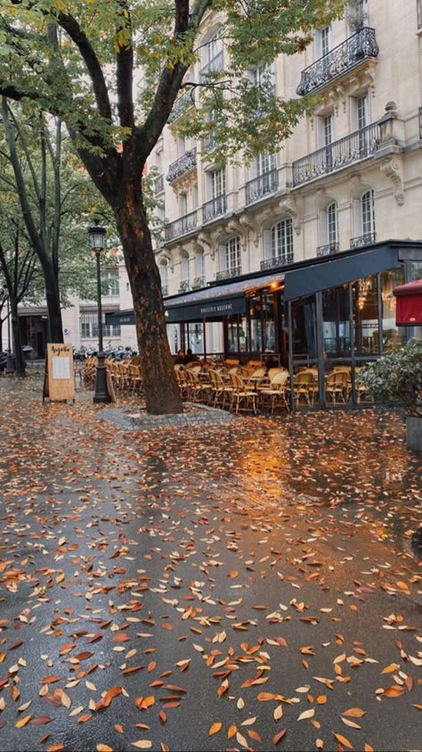 Fall Paris Aesthetic, Paris Fall Aesthetic, Paris Autumn Aesthetic, Paris In October, Paris Autumn, Paris In The Fall, Paris In Autumn, Mansion Exterior, Fall City