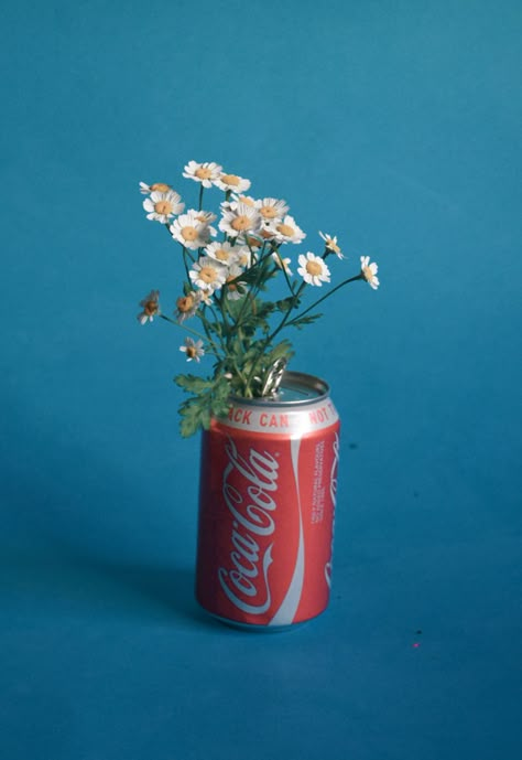 "I will grow from the cans of the drinks that make me sick" Wow Photo, Trendy Plants, Tumblr Art, Shotting Photo, Tumblr Photography, Photography Inspo, Life Photography, Blue Aesthetic, Still Life Photography