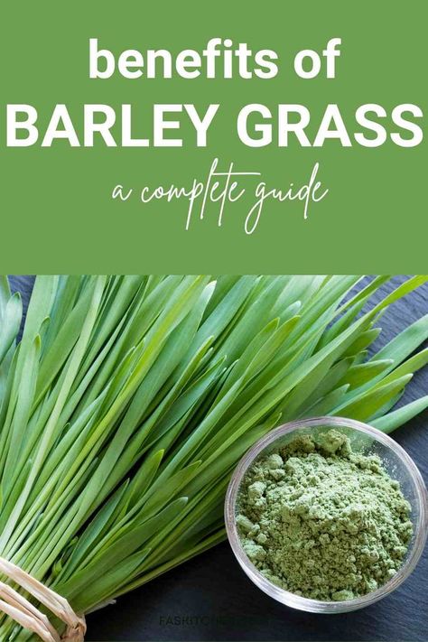 A bowl of barley grass, showcasing its vibrant green color and potential as a nutrient-rich superfood. Barley Grass Juice Powder Benefits, Barley Benefits Healthy, Barley Grass Powder Benefits, Barley Grass Benefits, Barley Plant, Good Food Habits, Barley Health Benefits, Barley Benefits, Raisins Benefits