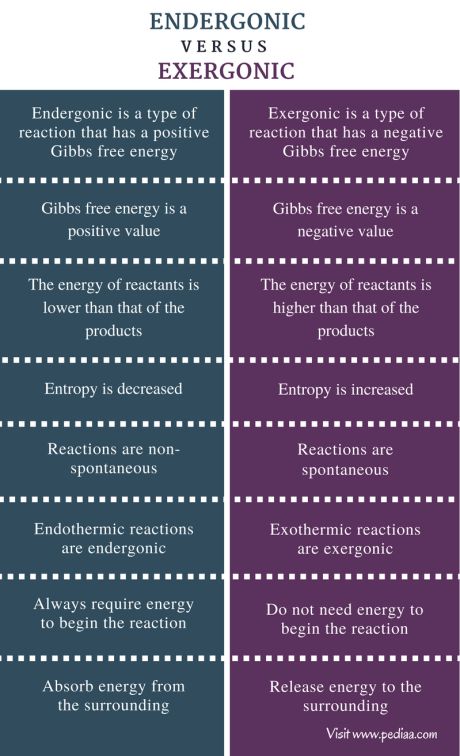 Difference Between Endergonic and Exergonic Check more at https://in4arts.com/difference-between-endergonic-and-exergonic.html Exothermic Reaction, Chemical Reactions, What Is The Difference Between, College Hacks, Free Energy, Low Energy, Chemistry, Energy